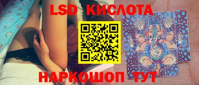 прущие грибы Беслан