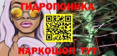 прущие грибы Беслан