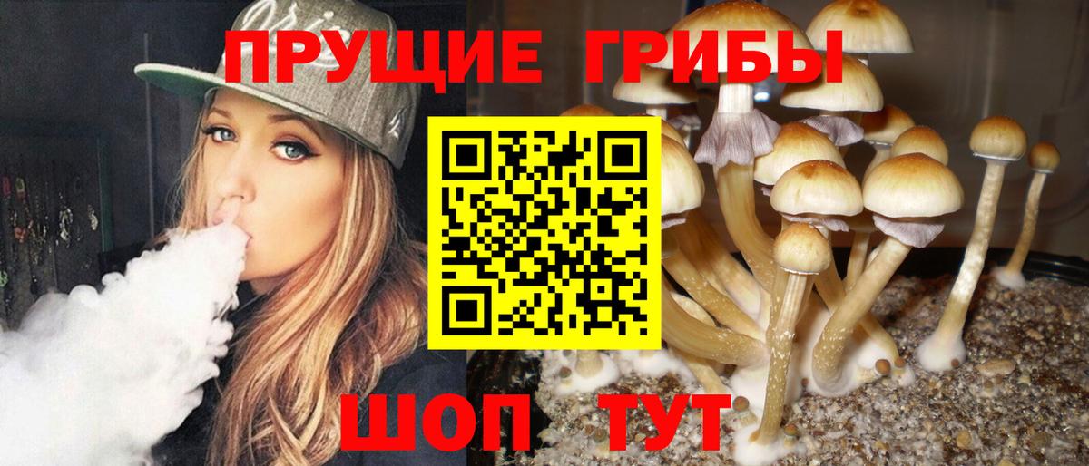 Галлюциногенные грибы мухоморы Карталы