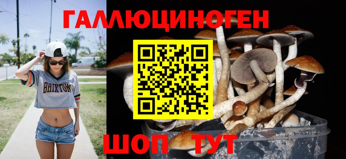 Карталы  Псилоцибиновые грибы MAGIC MUSHROOMS  Галлюциногенные грибы Psilocybine cubensis  Вход с VPN 