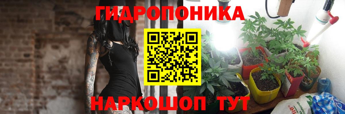 Бошки Шишки Amnesia  Каннабис семена  Вход с VPN  Карталы 